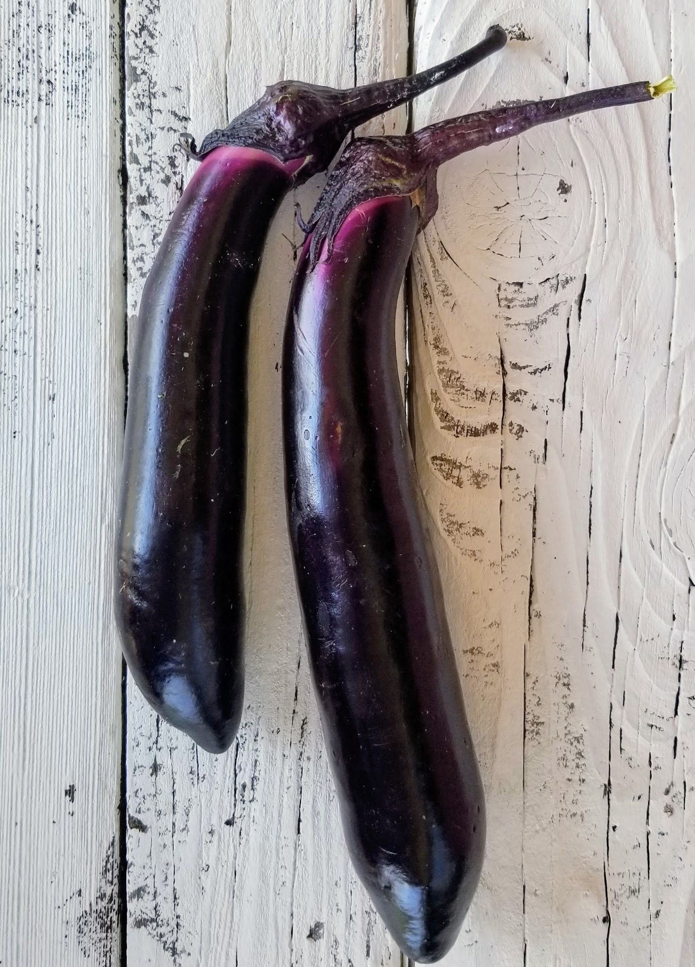 Wholesale Eggplant