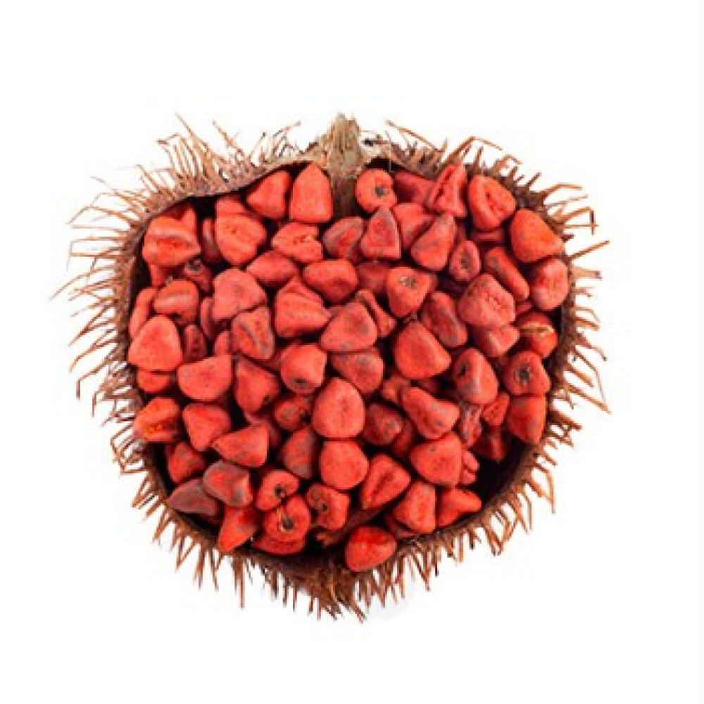 ANNATTO — LIMA, Peru