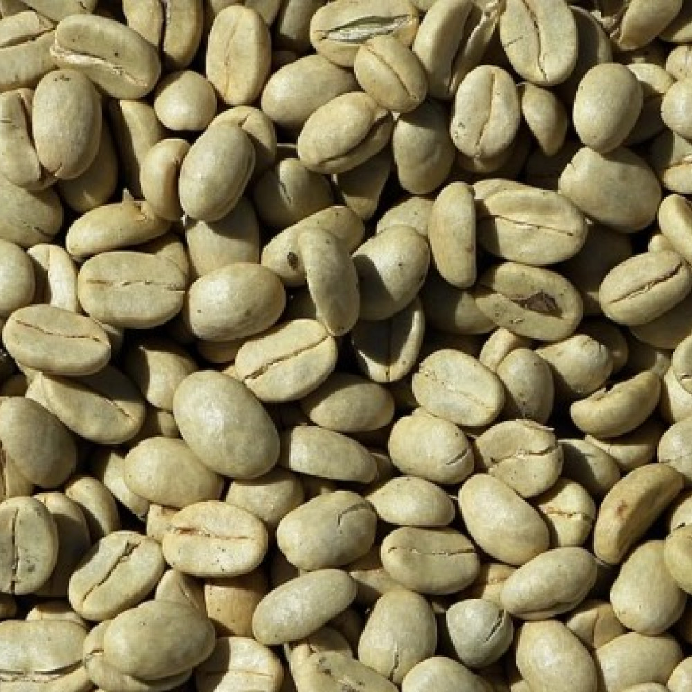 GREEN COFFEE — CUSCO, Peru