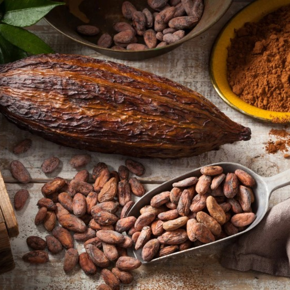 COCOA — CUSCO, Peru 2