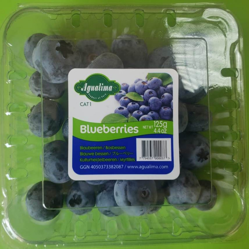 blueberries — Lima, Peru 3