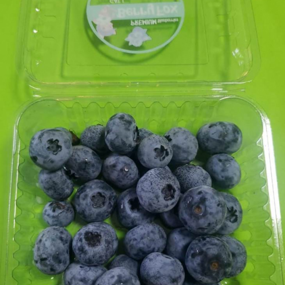 blueberries — Lima, Peru 2