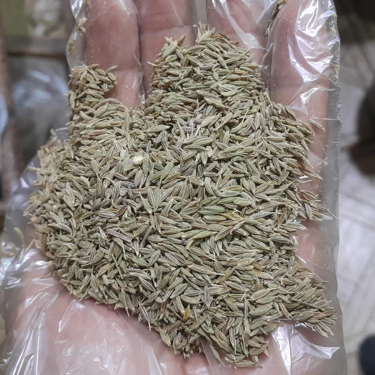 Cumin seeds 2