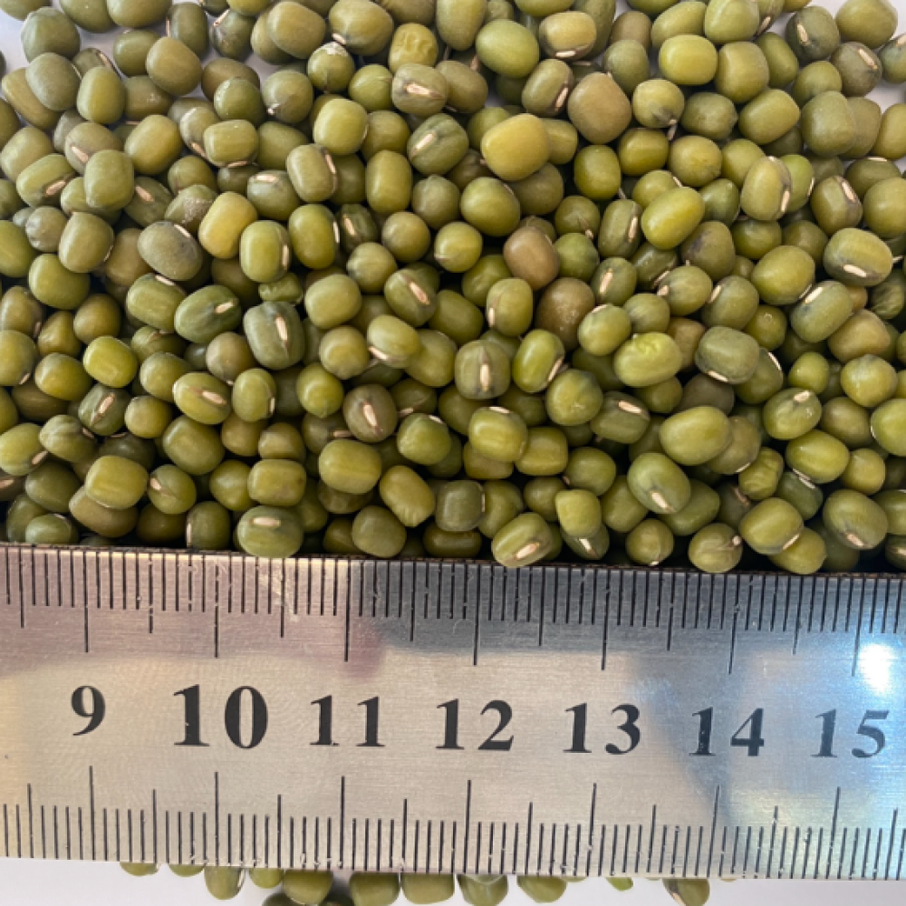 MUNG BEANS BULKS — Lima, Peru 3