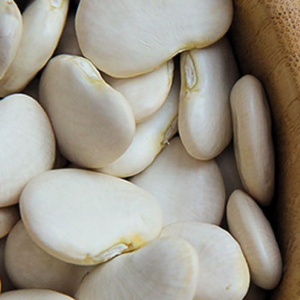 LIMA BEANS BULKS — Lima, Peru 2