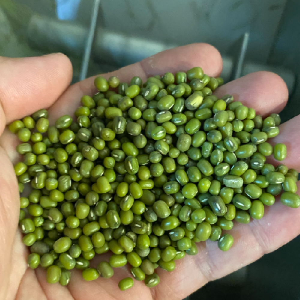 MUNG BEANS BULKS — Lima, Peru 2