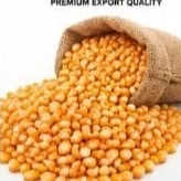 Corn (yellow)