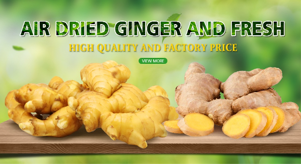 Chinese Ginger — Jining, China — Fruit & Vegetables lot from Jining, China