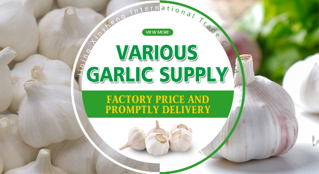 Pure White Garlic — Jining, China — Fruit & Vegetables lot from Jining, China