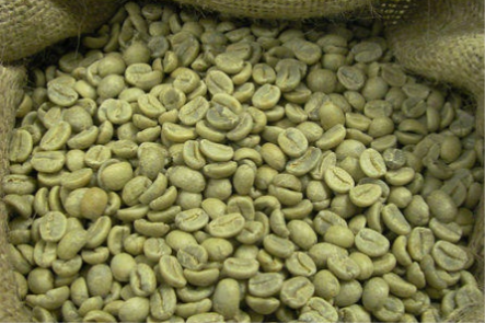 Dried Coffee Bean — Nairobi, Kenya