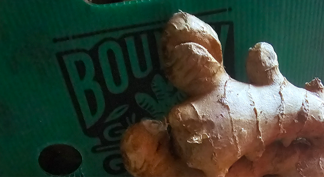Chinese Ginger — Jining, China — Fruit & Vegetables lot from Jining, China
