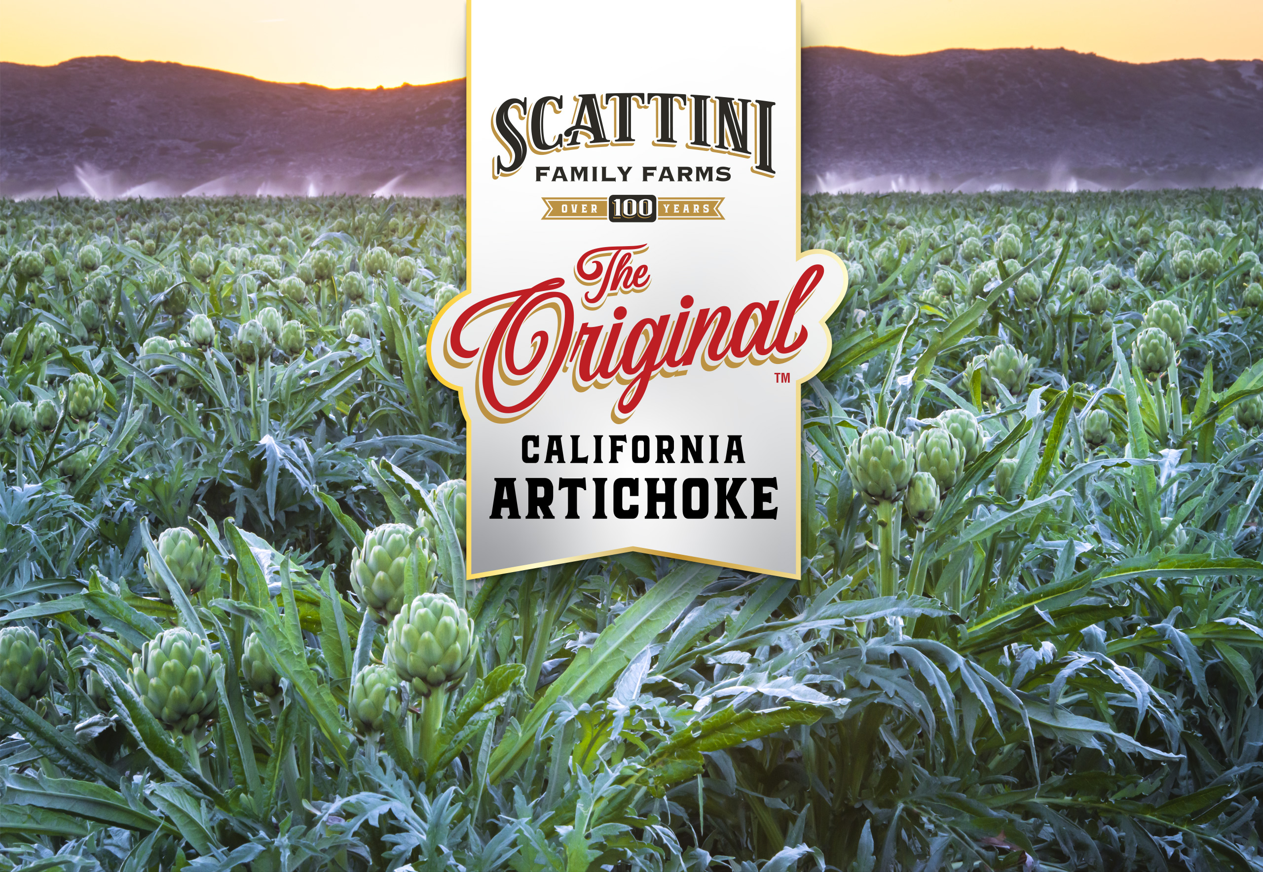 The Original California Artichoke