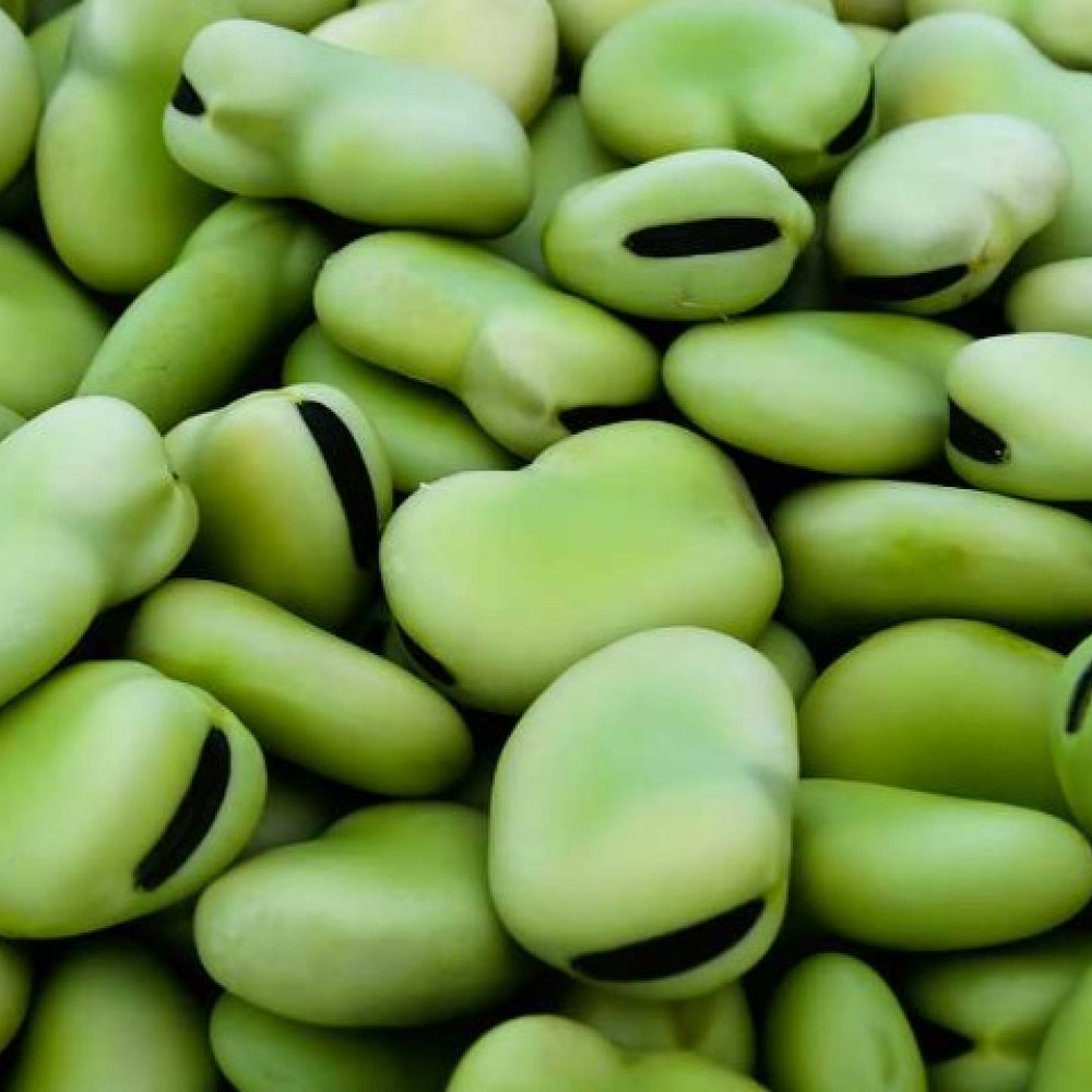 LEGUMES AND STARCHES — LIMA, Peru 3