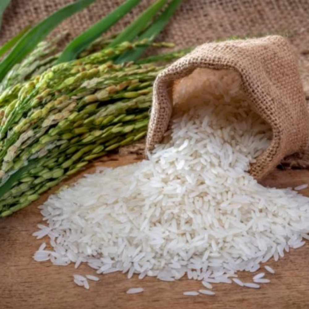 RICE — LIMA, Peru 2