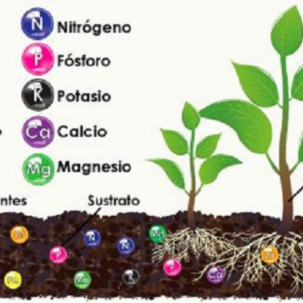 NUTRITIONAL MONITORING OF AGRICULTURAL CROPS — LIMA, Peru