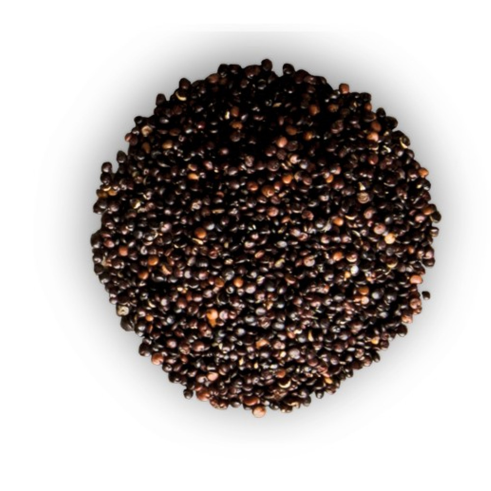 GRAINS — AREQUIPA, Peru 3