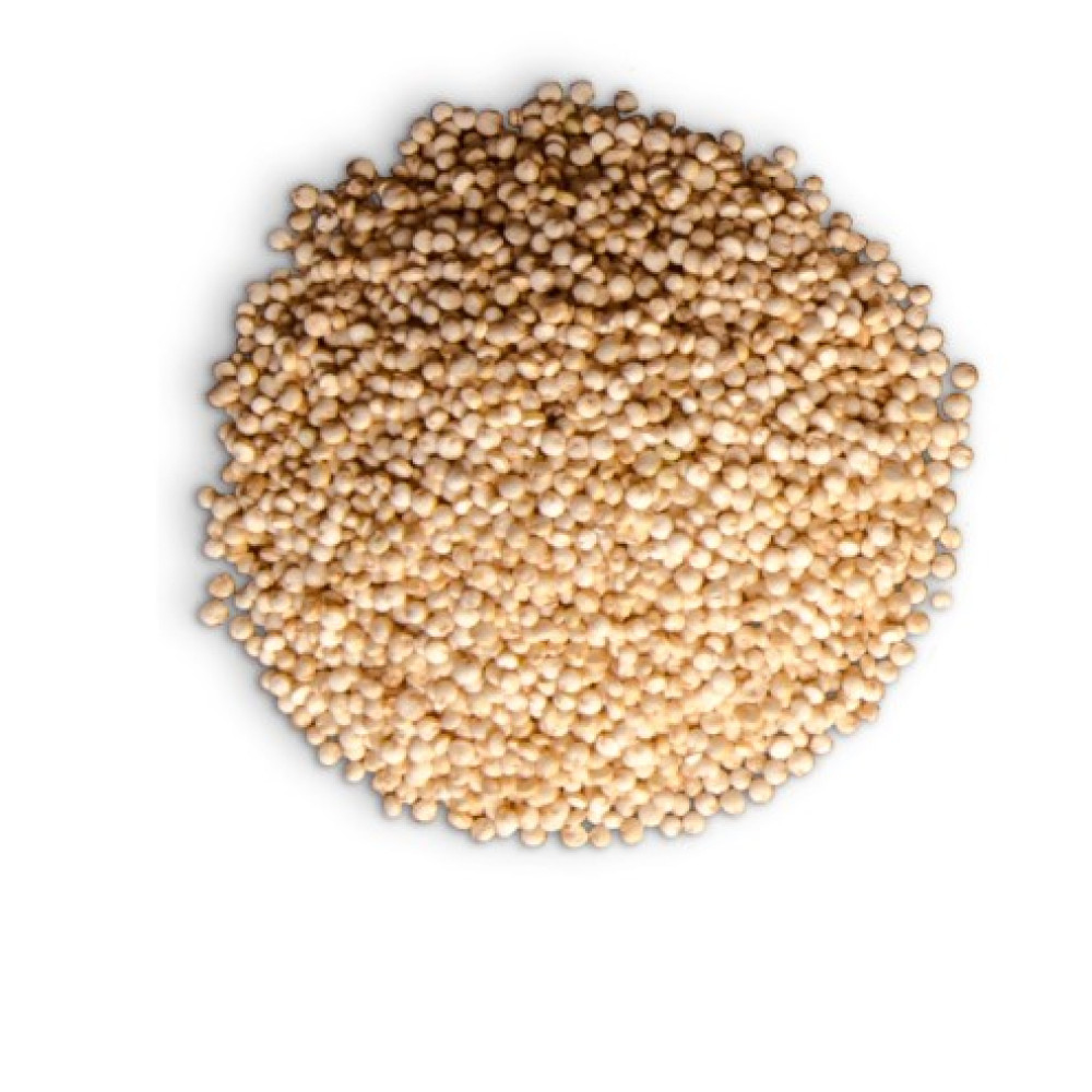 GRAINS — AREQUIPA, Peru 2