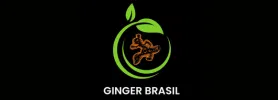 GINGER BRASIL COMÉRCIO PRODUÇÃO E EXPORTAÇÃO DE ORGÂNICOS LTDA