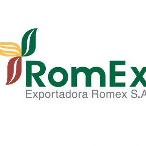 Exportadora Romex S.A