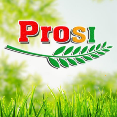 Prosi Thang Long