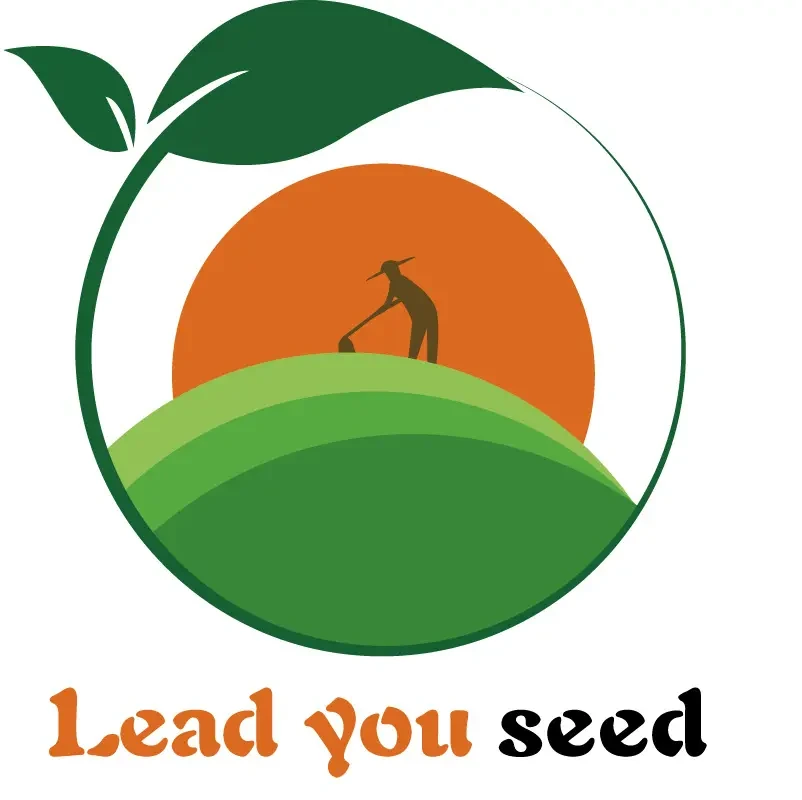 Lead You Seed