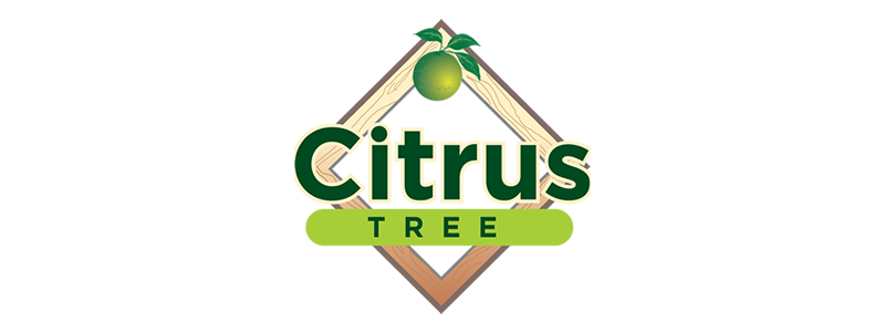CITRUS TREE