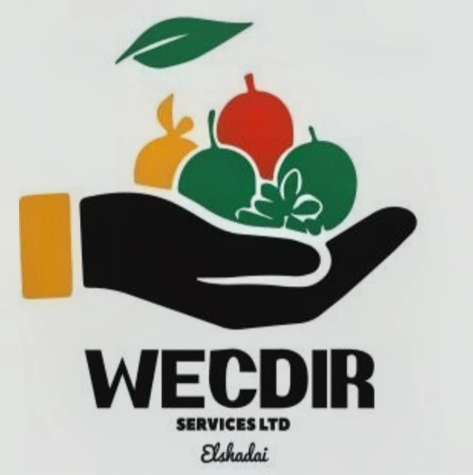 WECDIR SERVICES LTD