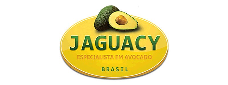 JAGUACY BRASIL COMERCIO DE FRUTAS LTDA